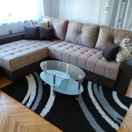 Apartment Premija Vrdnik Εξωτερικό φωτογραφία