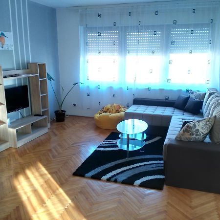 Apartment Premija Vrdnik Εξωτερικό φωτογραφία